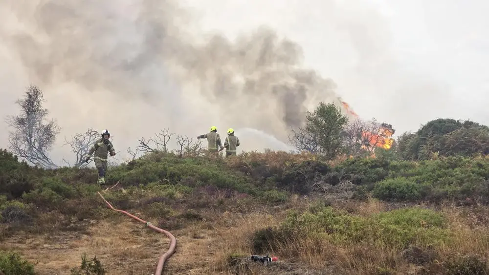 Dunwich wildfires