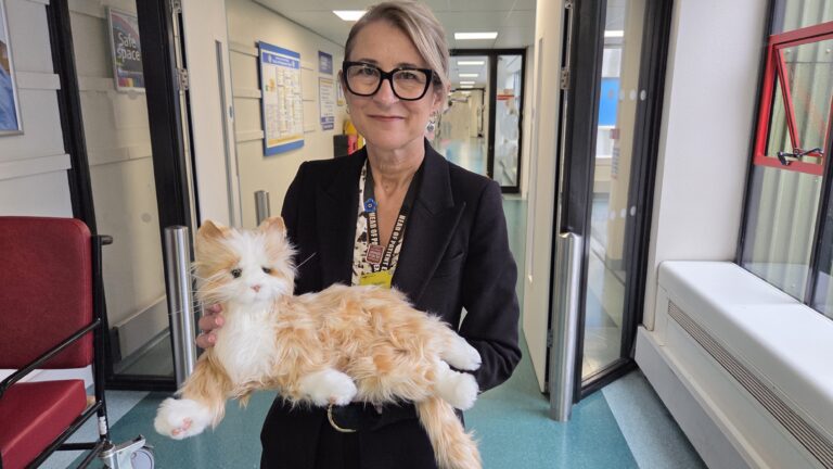 ESNEFT's Head of Patient Experience, Tammy Shepherd, with dementia 'cat'